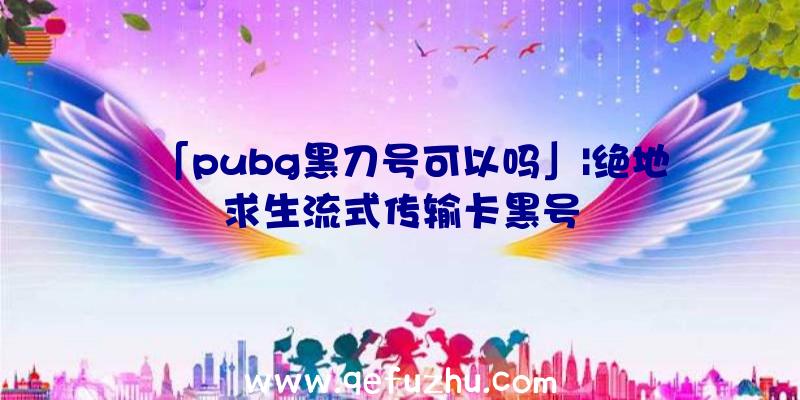 「pubg黑刀号可以吗」|绝地求生流式传输卡黑号